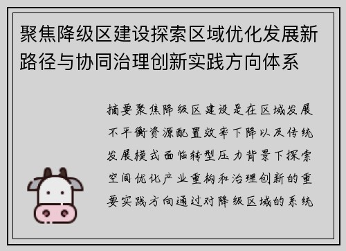 聚焦降级区建设探索区域优化发展新路径与协同治理创新实践方向体系 聚焦降级区建设探索区域优化发展新路径与协同治理创新实践方向体系